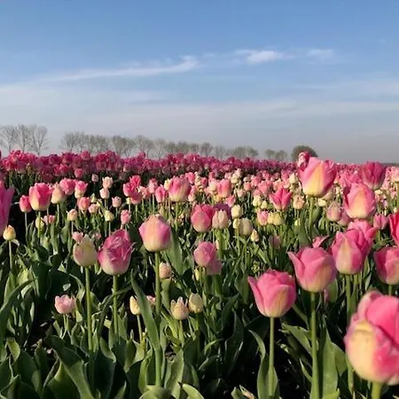 Four Seasons Voorstraat Egmond aan Zee