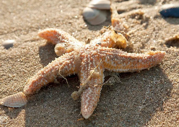 Apartamento Four Seasons Voorstraat Egmond aan Zee