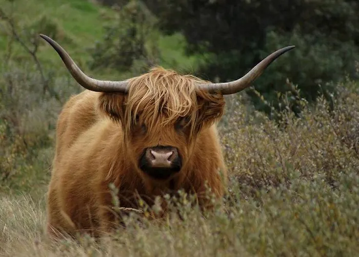 Four Seasons Voorstraat Egmond aan Zee