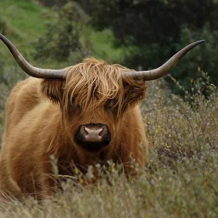 Four Seasons Voorstraat אגמונד אן זי