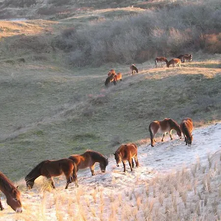 Four Seasons Voorstraat